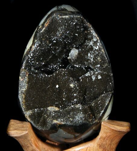 Septarian Dragon Egg Geode - Black Crystals #36712